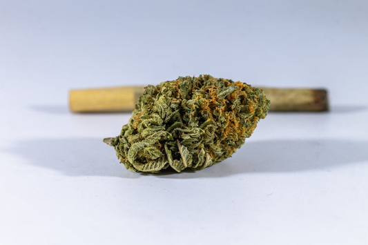 Close-up image of a hemp flower bud with a joint in the background on a neutral surface.