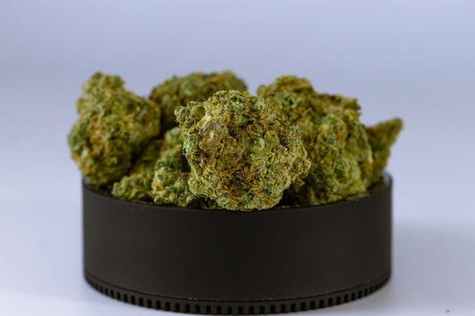 High-quality close-up image of cannabis buds in a black container, showcasing their texture and detail.